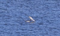 IMG_0003.jpg