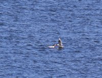 IMG_0004.jpg