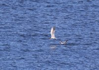 IMG_0005.jpg