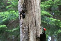 IMG_0003.jpg