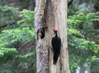 IMG_0004.jpg