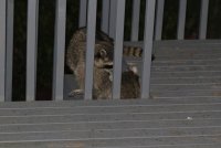 IMG_0002.jpg