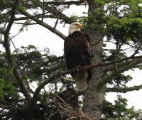 IMG_0001.jpg