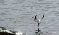 IMG_0001.jpg