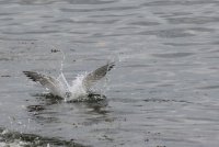 IMG_0002.jpg