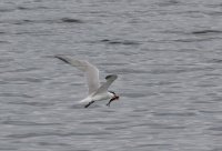 IMG_0005.jpg