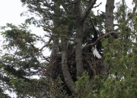 IMG_0001.jpg