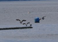 IMG_0004.jpg
