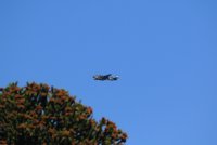 IMG_0001.jpg