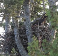 IMG_0004.jpg