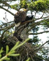6-26-2017 pt edwards mom and baby_2025.JPG