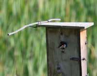 IMG_0002.jpg