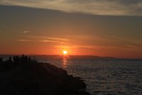 IMG_0003.jpg