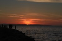 IMG_0005.jpg