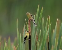 IMG_0004.jpg
