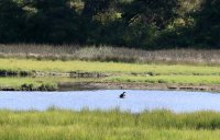 IMG_0002.jpg