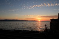 IMG_0001.jpg