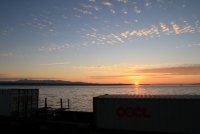 IMG_0005.jpg
