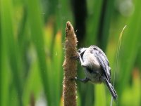IMG_0002.jpg