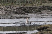 IMG_0002.jpg