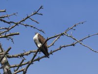 IMG_0001.jpg