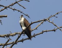IMG_0002.jpg