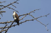 IMG_0003.jpg