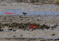 IMG_0003.jpg