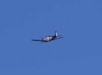 IMG_0004.jpg