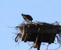 IMG_0005.jpg