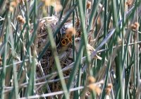 IMG_0003.jpg