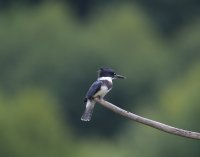 IMG_0002.jpg