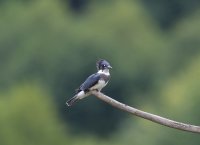 IMG_0003.jpg