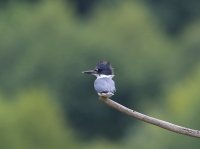 IMG_0004.jpg