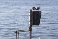 IMG_0001.jpg