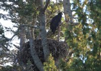 IMG_0001.jpg