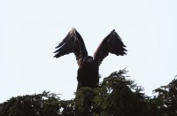 IMG_0001.jpg