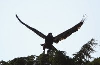 IMG_0002.jpg