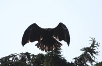 IMG_0003.jpg