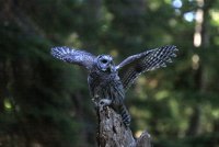IMG_0002.jpg