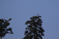 IMG_0001.jpg