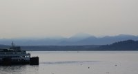 IMG_0003.jpg