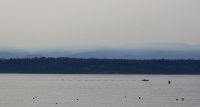 IMG_0005.jpg