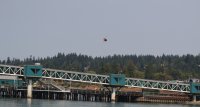 IMG_0001.jpg