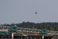 IMG_0002.jpg