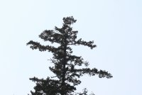 IMG_0001.jpg