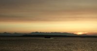 IMG_0008.jpg