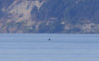 IMG_0001.jpg