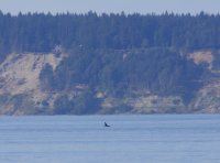 IMG_0002.jpg