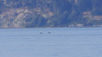 IMG_0004.jpg